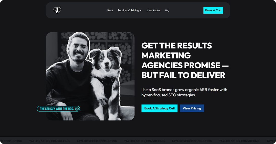 Taylor Scher Consulting website homepage screenshot